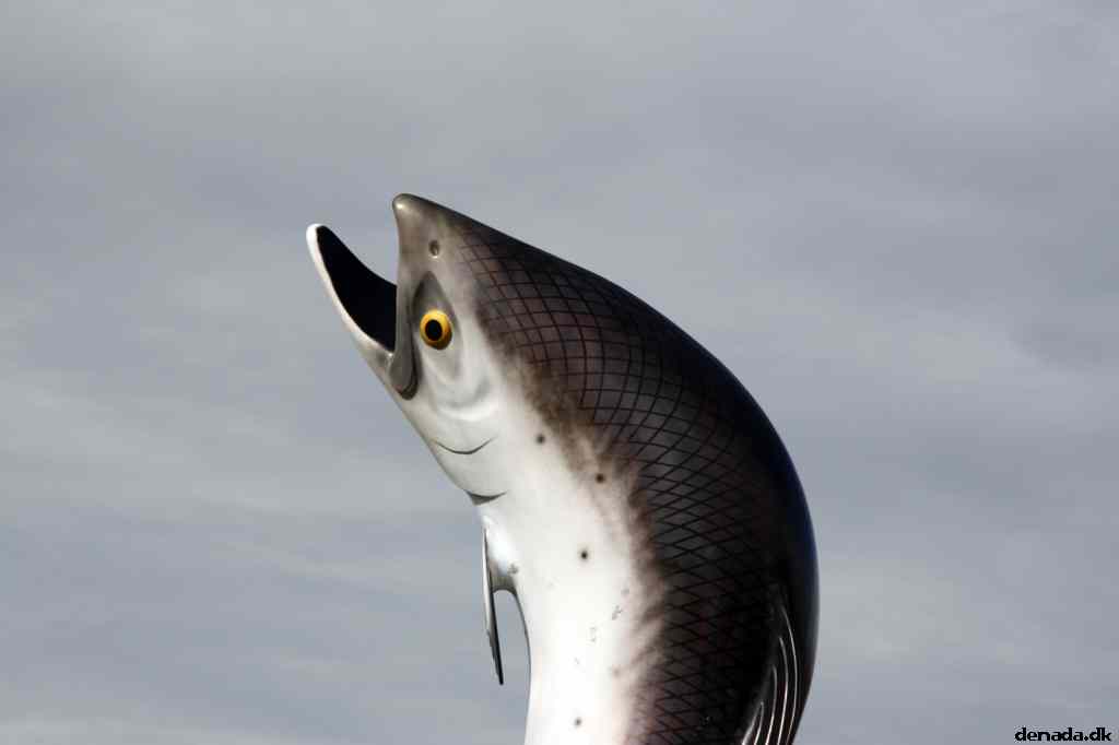 * Image 1