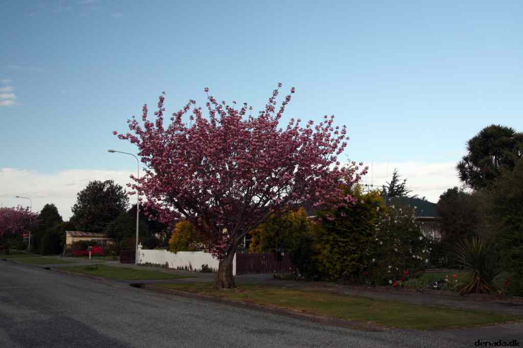 * Image 11