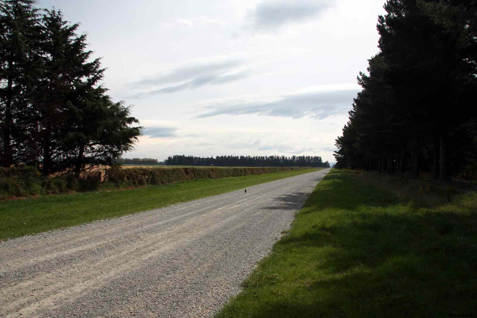 * Image 3
