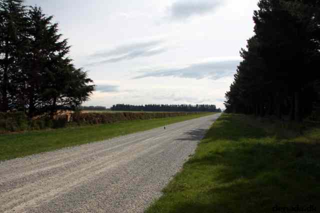 * Image 3