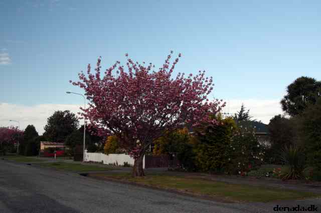 * Image 11