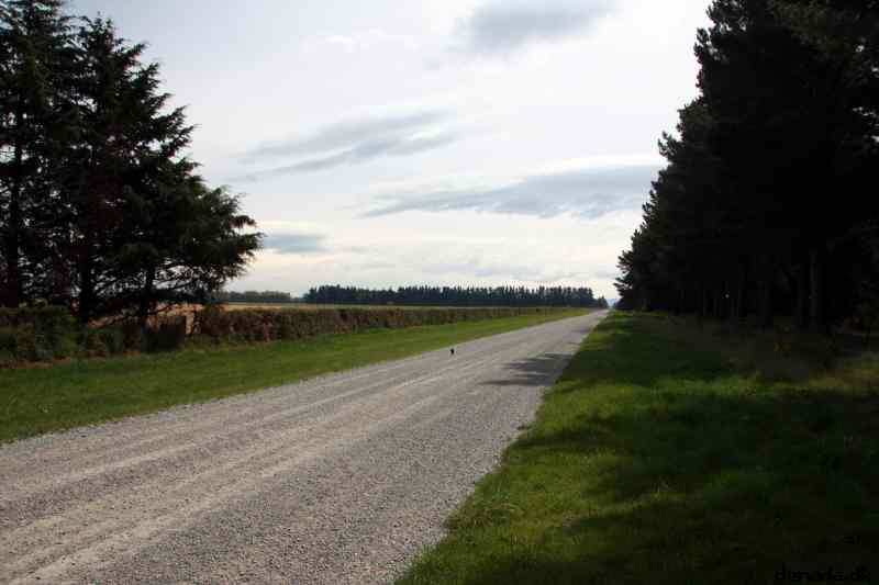 * Image 3