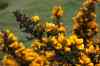 20121013_1630390m.jpg - 2012:10:13 16:30:39