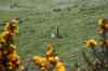 20121013_1631010m.jpg - 2012:10:13 16:31:01