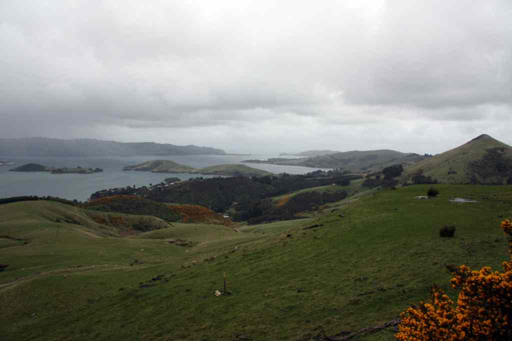 * Image 17