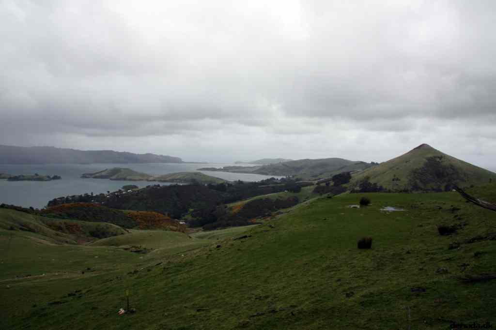 * Image 20