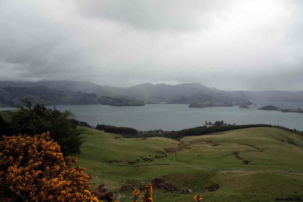 * Image 21