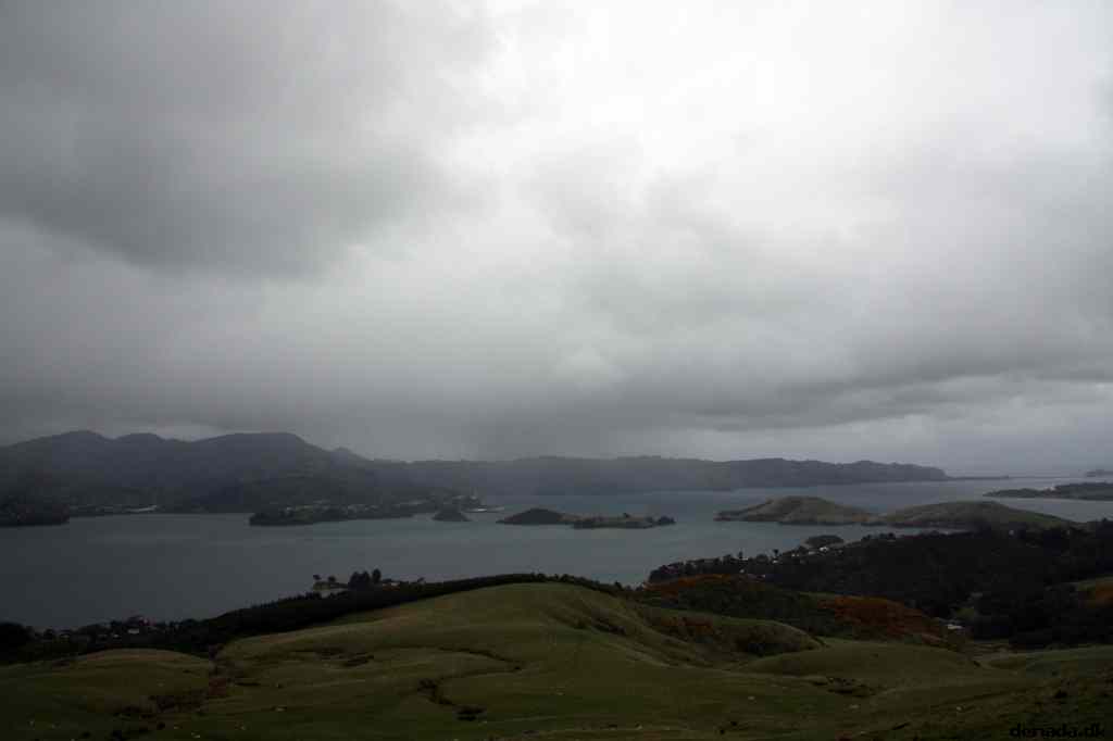 * Image 23