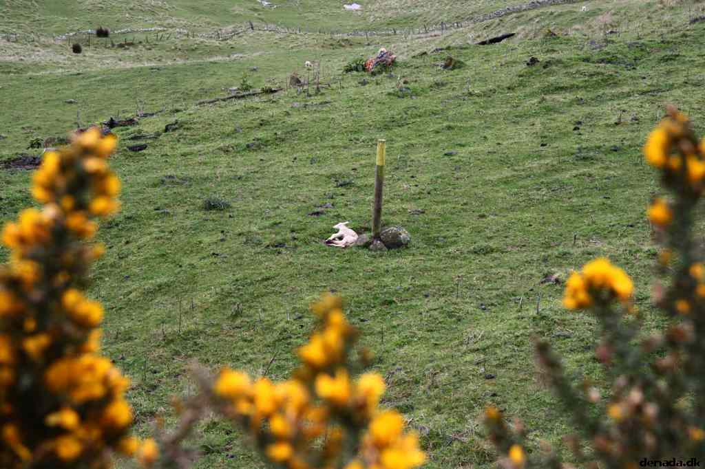* Image 26