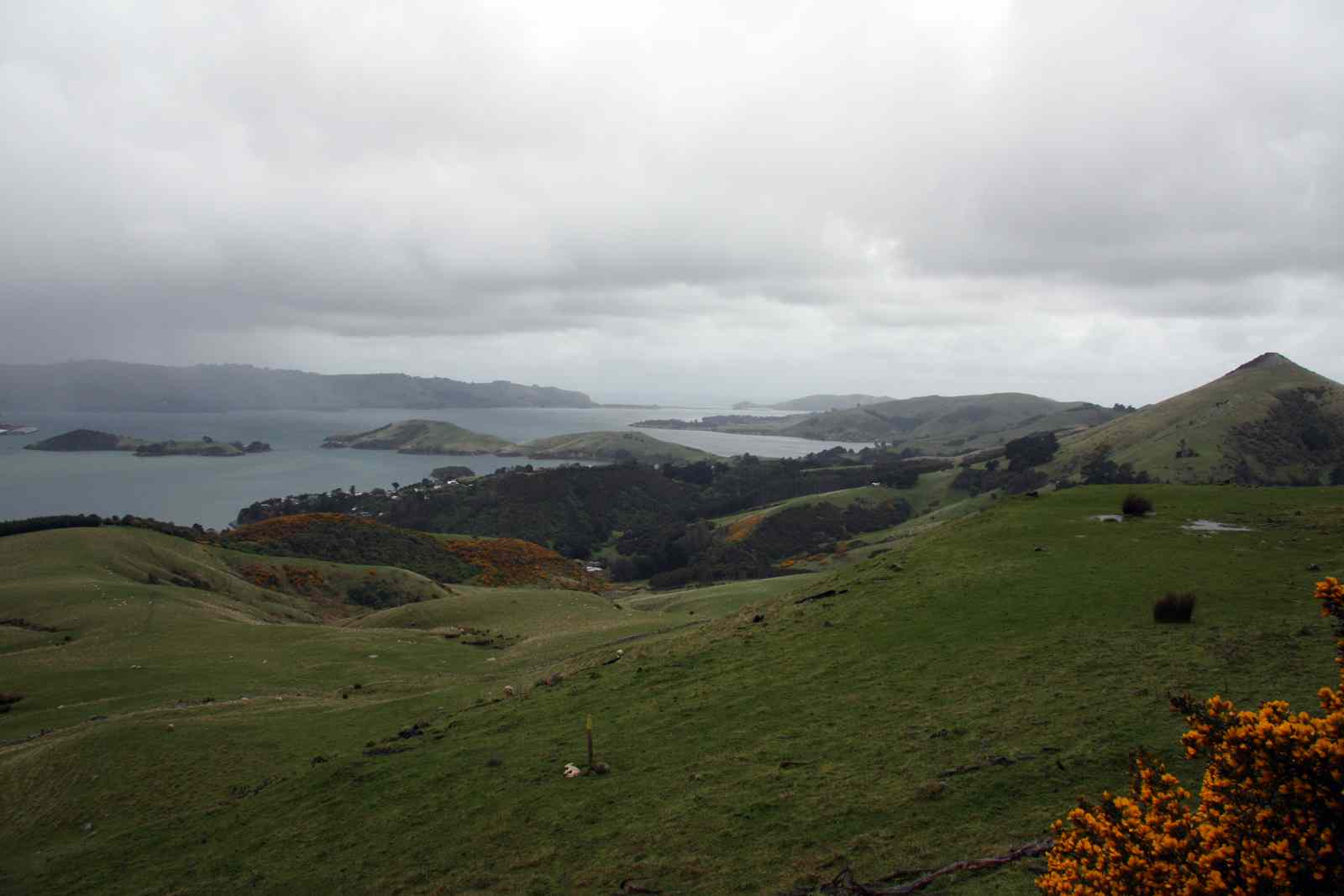 * Image 17