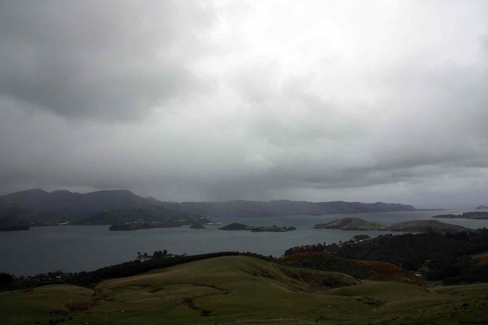 * Image 23