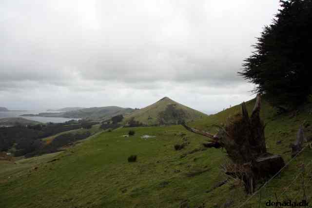 * Image 19