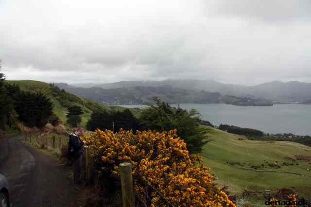 * Image 22