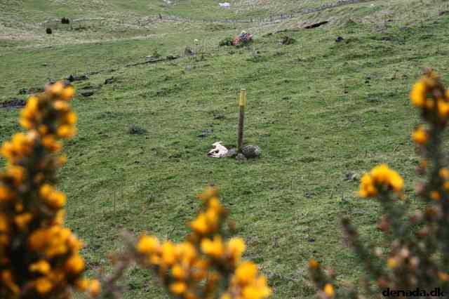 * Image 26