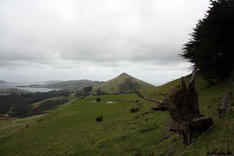 * Image 19