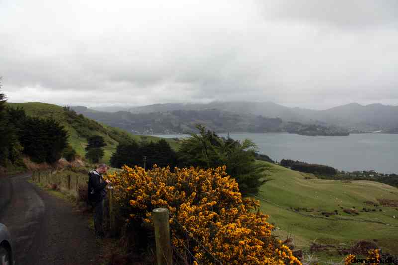 * Image 22