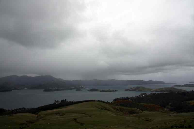 * Image 23