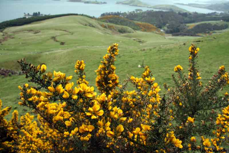 * Image 24