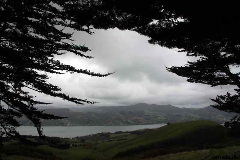 * Image 31