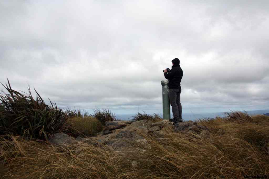 * Image 1