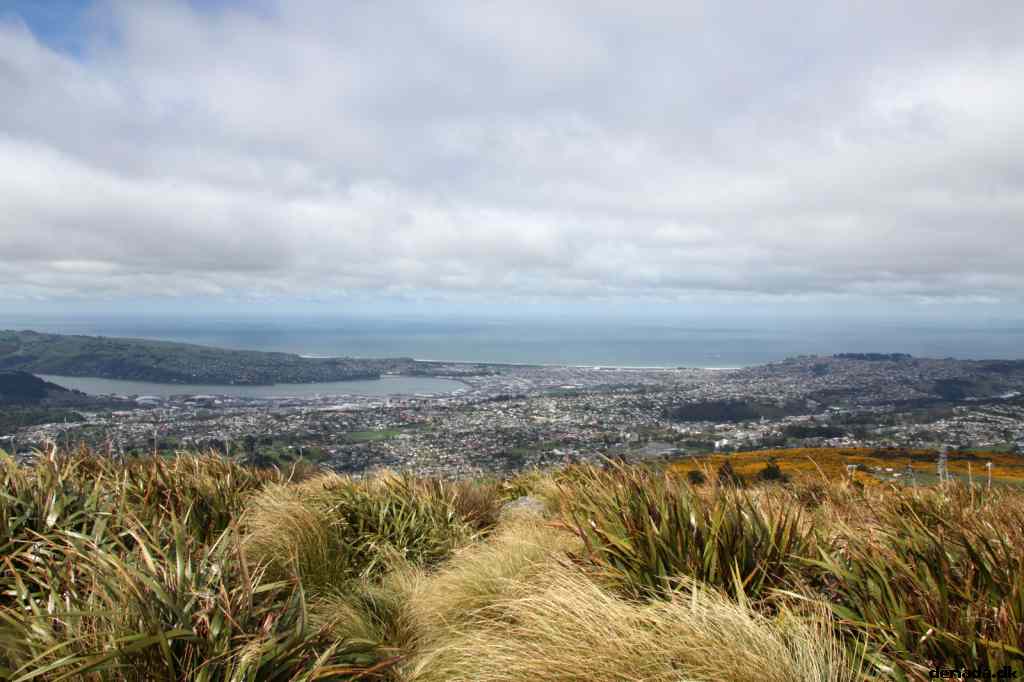 * Image 4
