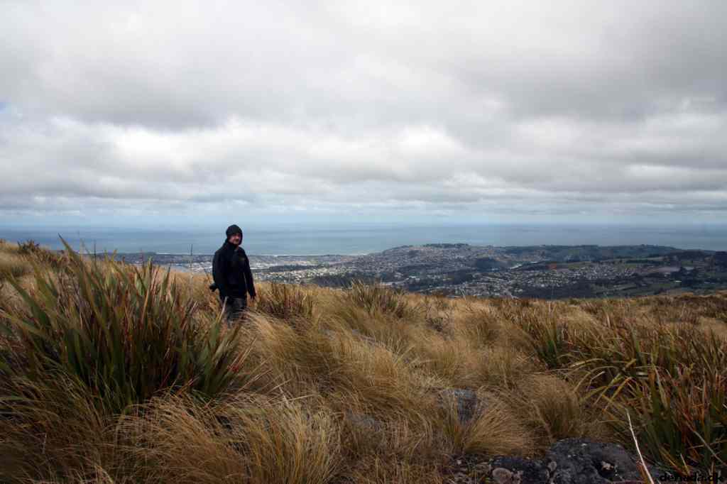 * Image 6