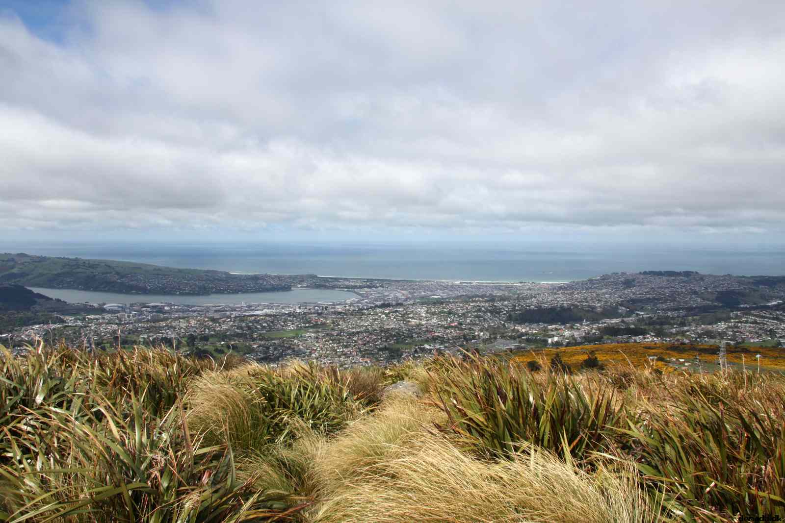 * Image 4