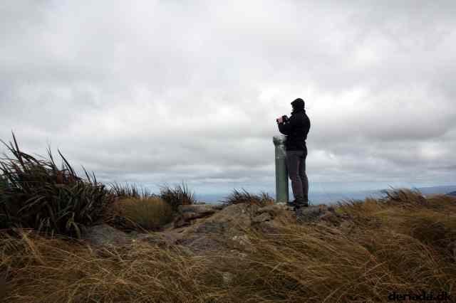 * Image 1