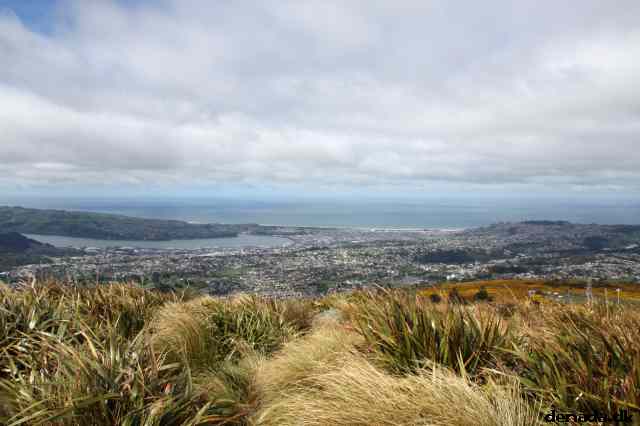 * Image 4