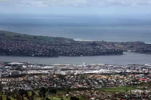 * Image 5