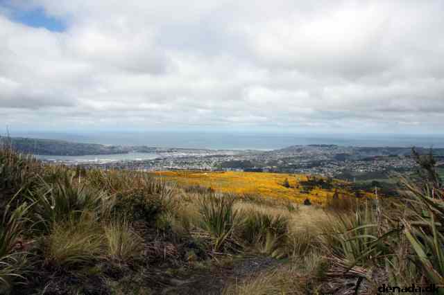 * Image 9