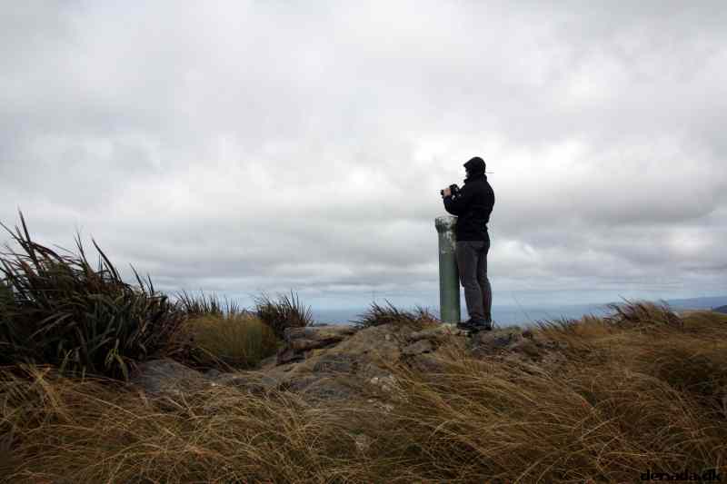 * Image 1