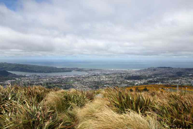 * Image 4
