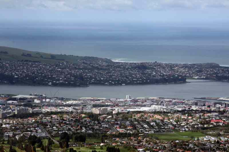 * Image 5