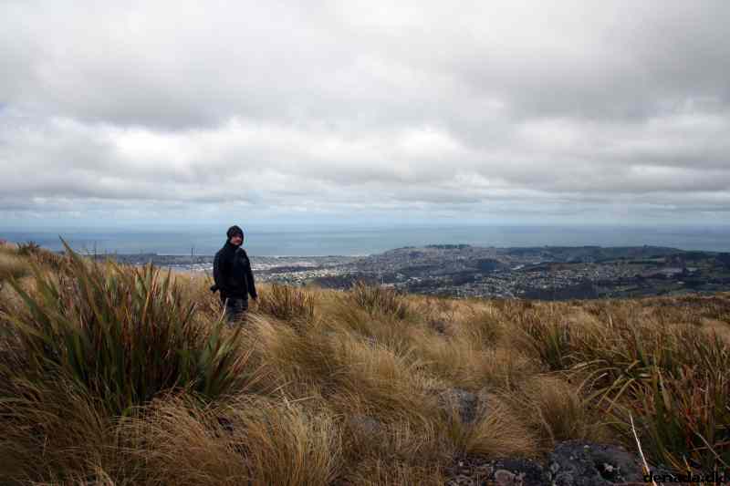 * Image 6