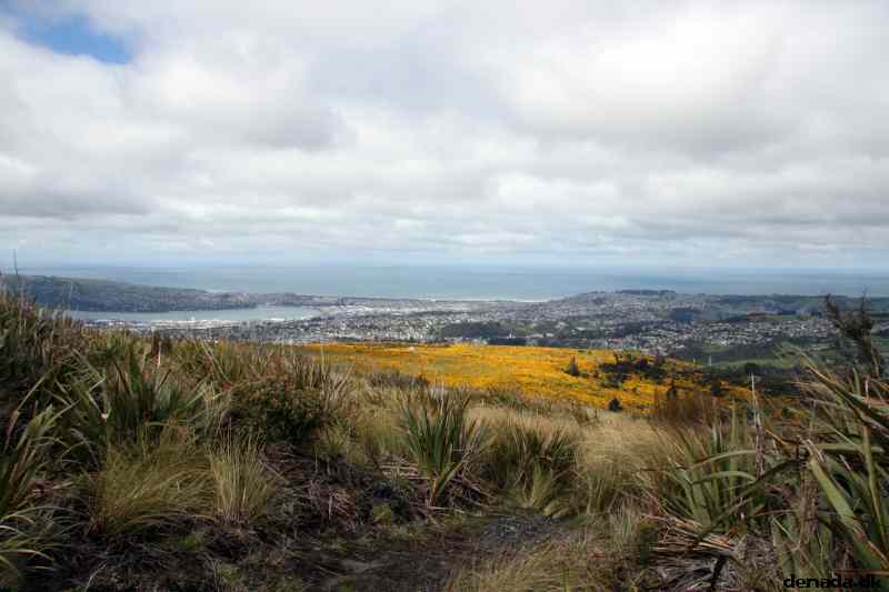 * Image 9