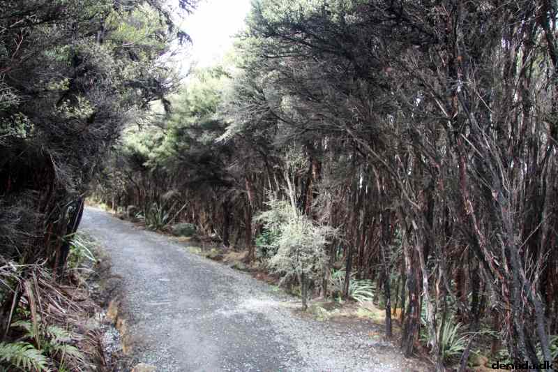* Image 11