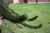 20121015_1210260m.jpg - 2012:10:15 12:10:26