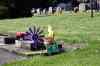 20121015_1236270m.jpg - 2012:10:15 12:36:27