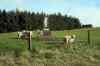 20121015_1812360m.jpg - 2012:10:15 18:12:36