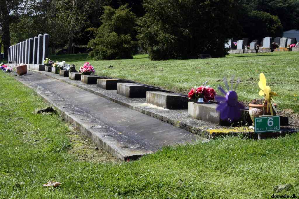 * Image 7