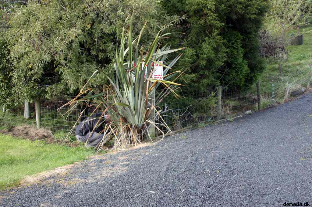 * Image 10