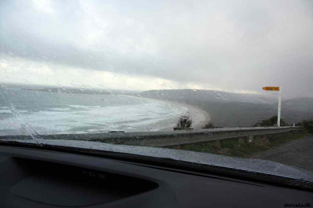 * Image 36