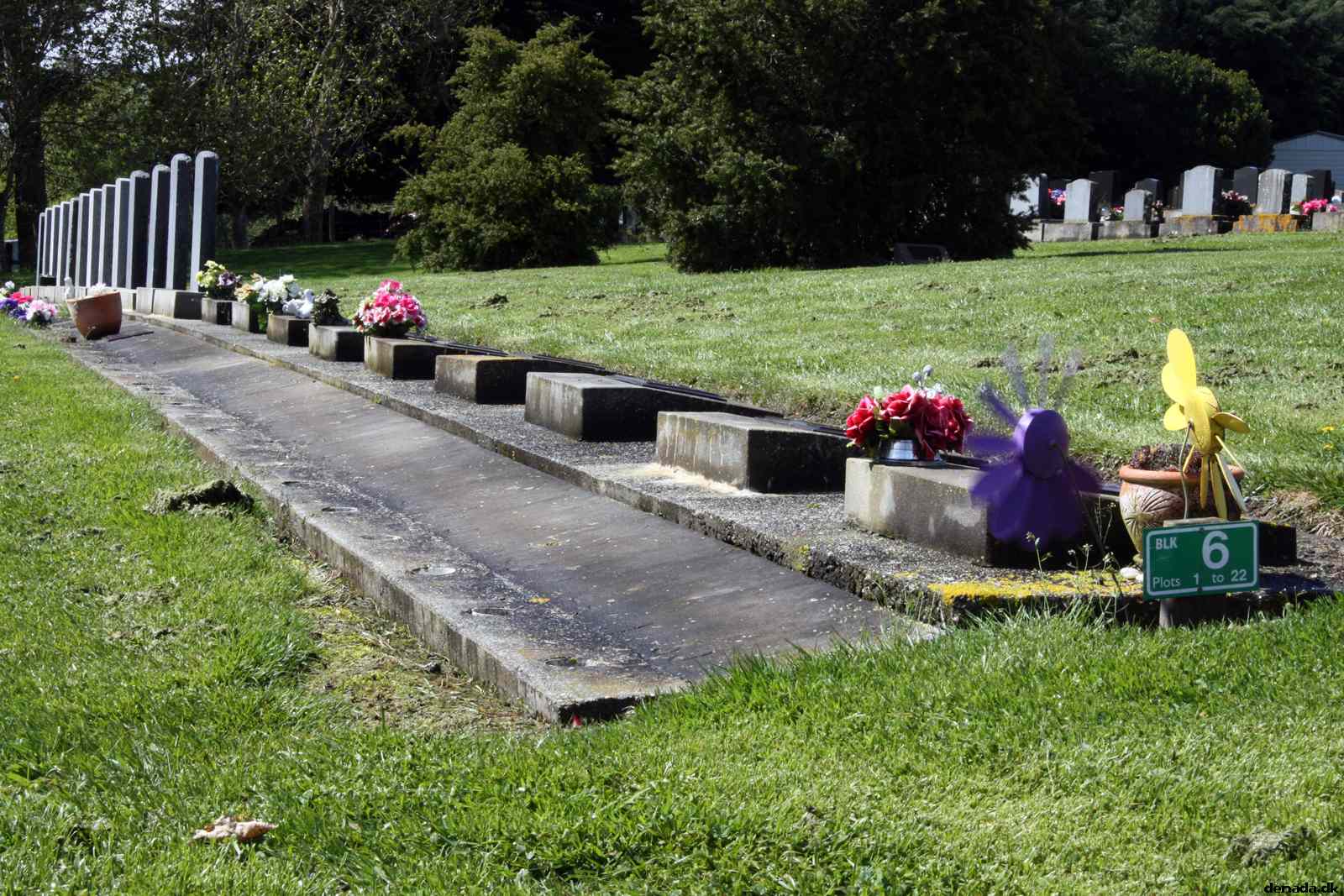 * Image 7