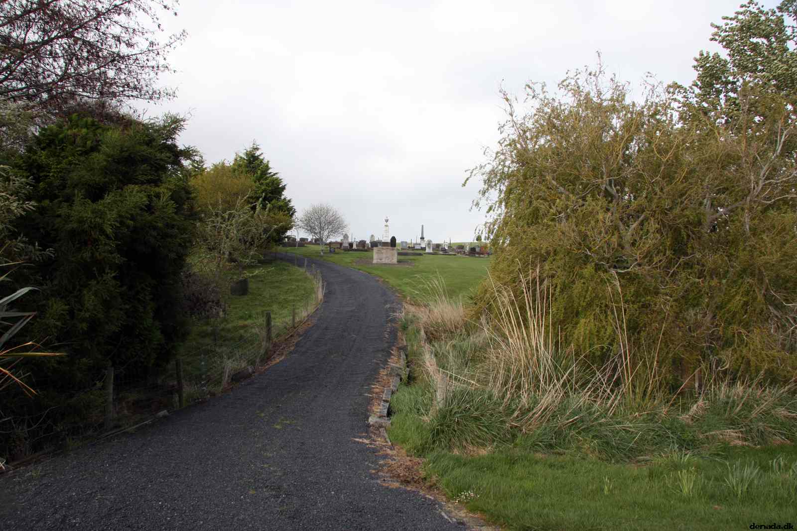 * Image 11
