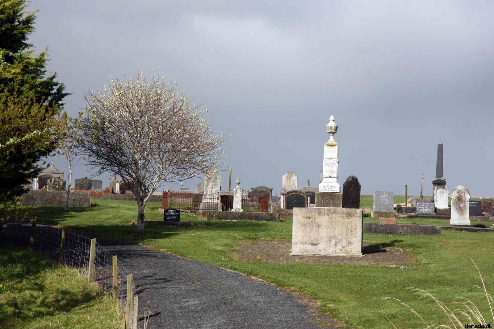 * Image 13