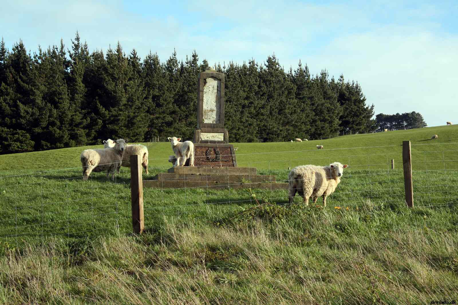 * Image 34