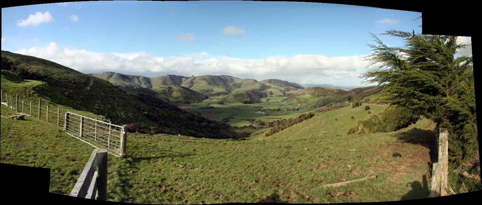 * Image 31