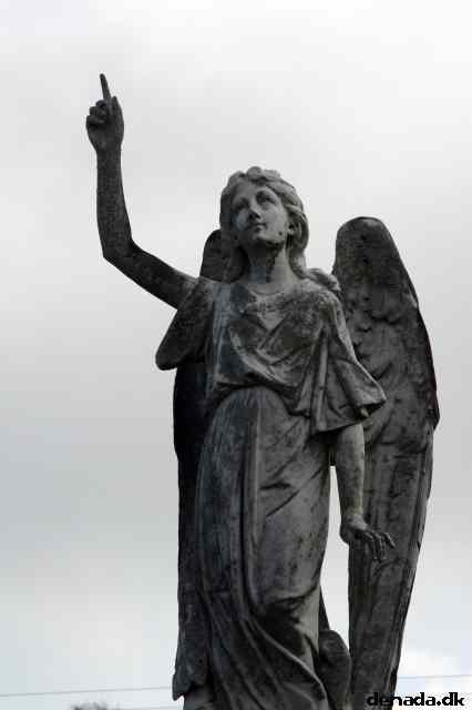 * Image 14