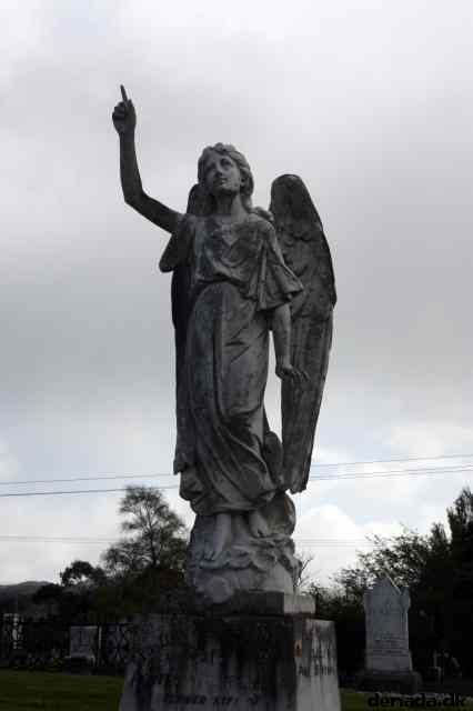 * Image 15